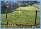 Hàng rào liên kết chuỗi mạ kẽm PVC màu xanh lá cây 11,5 cho vườn trang trại