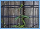Eco Lưới Modell Plant Trellis System / Green Wall Wire Trellis System 50x50mm