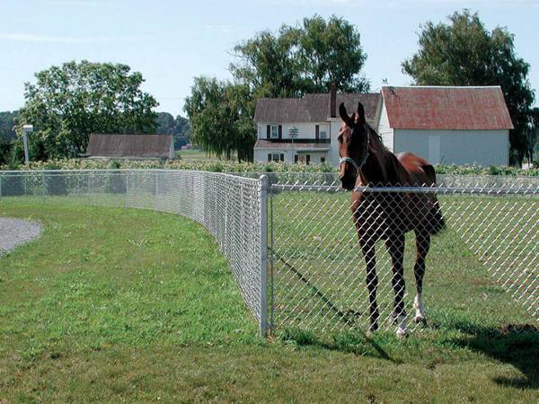 Hàng rào liên kết mạ kẽm để giữ ngựa