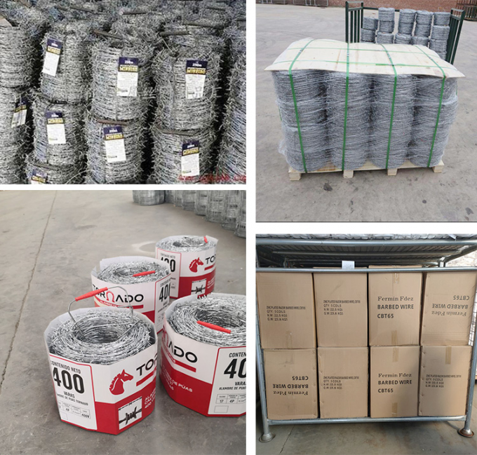 Gi&aacute; thấp Concertina Hot đun đun galvanized sợi d&acirc;y th&eacute;p gai 3