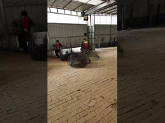 Chân rễ rễ rễ màu đen Chân dây cho cây hoặc cây trồng Chân rễ vận chuyển