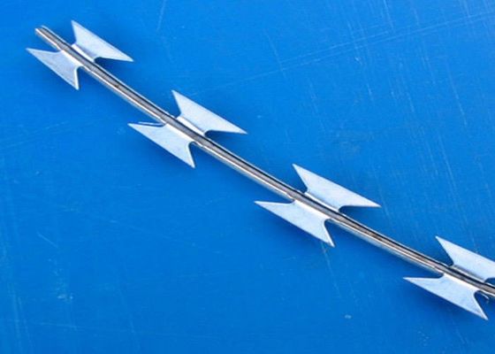 Hàng rào dây thép gai bọc nhựa PVC Hàng rào dây thép gai Concertina