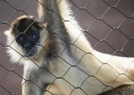 Lưới cáp thép không gỉ Ss 304 Ss 316 Lưới cáp thép không gỉ Ferrule để bán