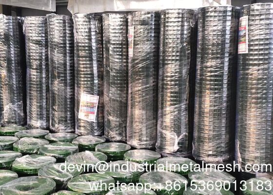 ตาข่ายลวดเชื่อมชุบสังกะสีร้อน/สแตนเลส/ลวดดำ