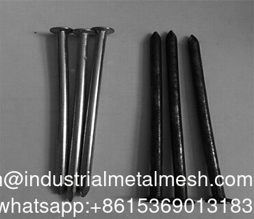 Móng tay dây mạ kẽm thông thường Loại chân trơn nhẵn Móng tay đầu tròn phẳng