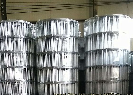3 mm Đường kính dây 15cm Lưới hàn đen mở cho thị trường Nam Mỹ