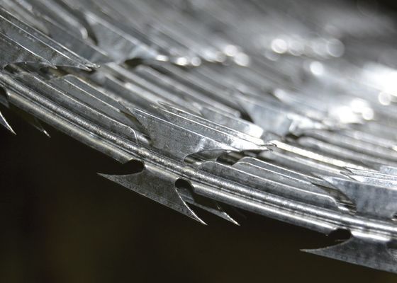 Sợi dây thép gai galvanized bảo vệ an ninh Stainless Steel sợi dây cưa