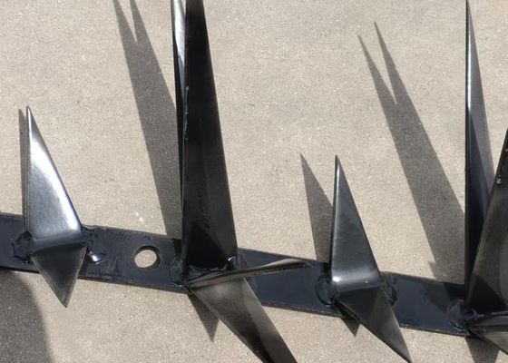 Phòng chống leo lên hàng rào bảo mật tường gai loại cạo đơn với galvanized / bột phủ bề mặt điều trị