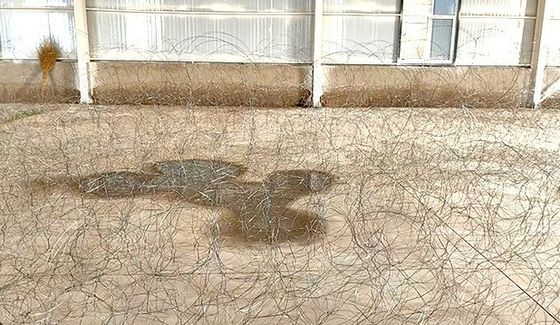 Những chướng ngại vật thép không rõ ràng Putanka MZP với đường viền 10m