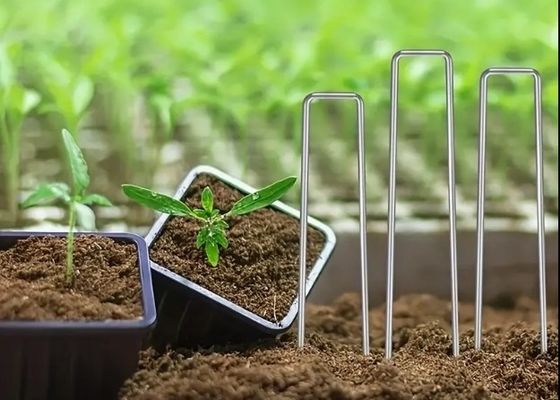 Mạng côn trùng cố định Peg cỏ bảo vệ SOD Staples thép kẽm móng vườn