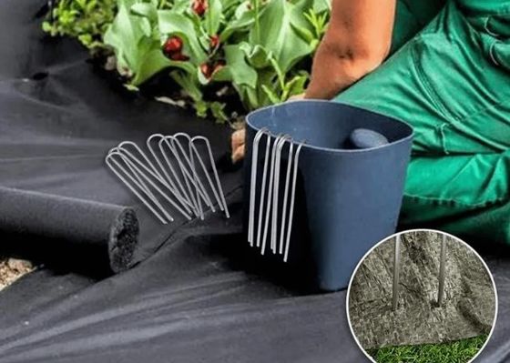 Galvanized Landscape Staples U Shaped Lawn Turf Nail
