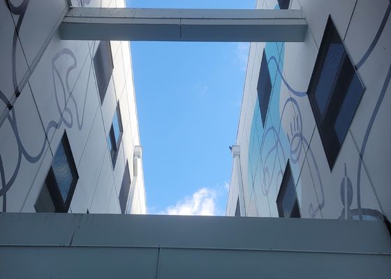 Lan can chống ăn mòn Thép không gỉ 316 Lưới dây để bảo vệ và an toàn