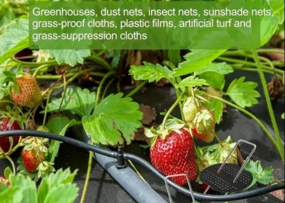 Hot Dip Galvanized U Type Garden Grass Cỏ Cỏ Staple Cỏ Nail 9 Gauge đường kính sợi