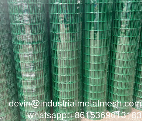 Holland Wire Mesh Euro Wire Welded Mesh Black Wire Welded PVC phủ