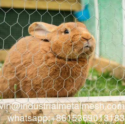 4 inch mở Hexagonal Wire Mesh được sử dụng cho hàng rào vườn