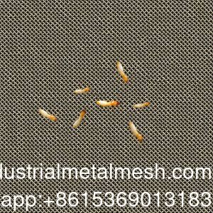 Lưới thép không gỉ dệt chống mối mọt AISI 304 316 316L