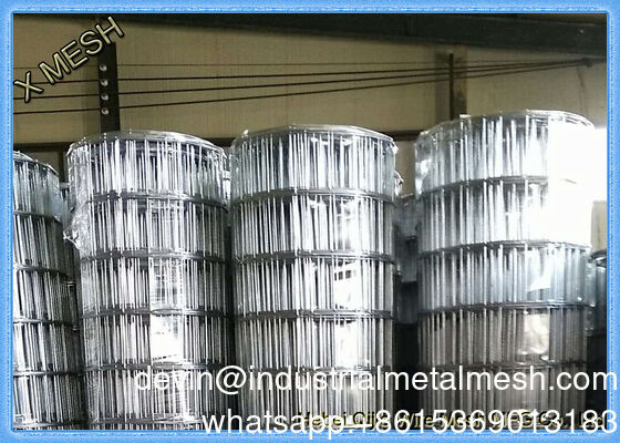 Lưới thép hàn mạ kẽm PVC phủ thép không gỉ ASTM 1/8-4 inch