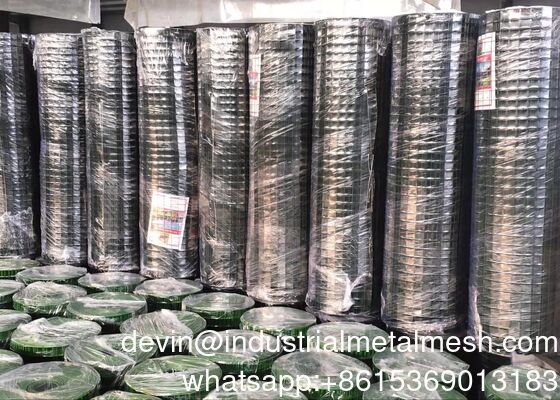Giá tốt nhất Xây dựng vật liệu mạ hàn galvanized lưới dây trên bán