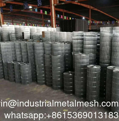 Màng dây hàn kẽm phủ PVC để bảo vệ thực vật