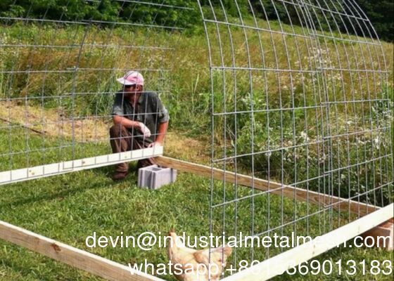 Wholesale Galvanized Fence 2X4 Welded Wire Mesh Panel From China