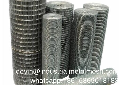 Nắm nóng Rouleau De Grillage Thép kẽm lưới dây lưới hàn hàng rào 1/2' 1/4'