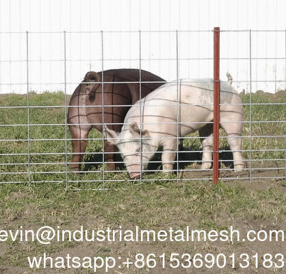 Ống sợi dây chuyền hàn 6mm cổng vườn