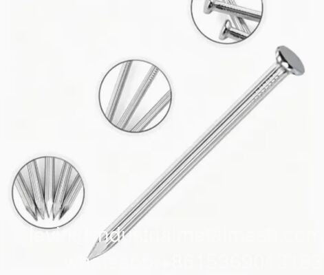 Electro Galvanized Zinc Iron Nails 1''-6'' Wooden Nail Wire Nail Polished Common Nails