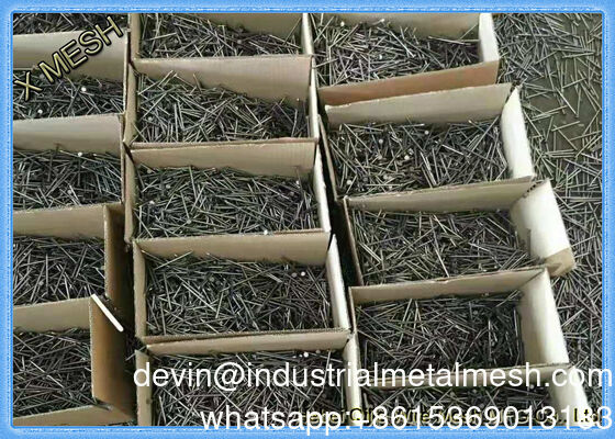 Giá tốt nhất Đầu tròn Thép Carbon Sắt Sắt móng Common móng cho đồ nội thất gỗ