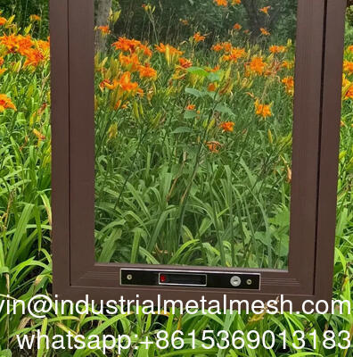 Thép không gỉ cửa sổ an ninh màn hình lưới rệp lưới côn trùng
