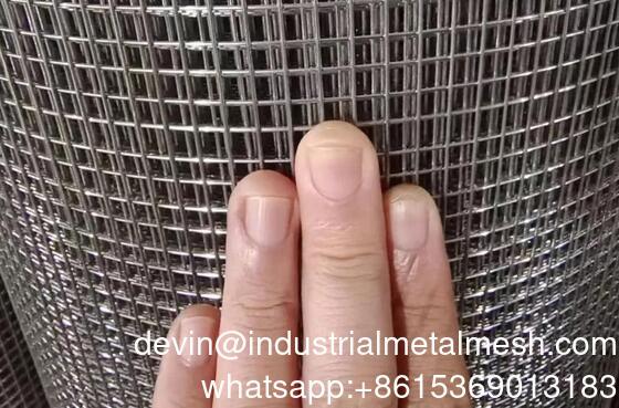 Dây hàn điện galvanized lưới 1'*1' và 2'*2'