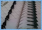 Tấm kim loại Hàng rào gai / gai an ninh cho tường và hàng rào