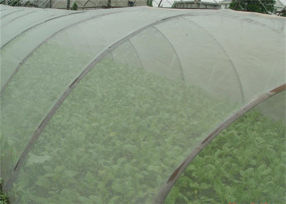 5 năm sử dụng chống côn trùng 20x10 chống bọ côn trùng