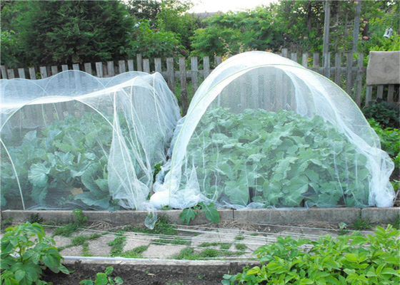 Horticulture Hdpe Fly Screen Mesh Nông nghiệp trồng côn trùng Proof Network 40 Mesh