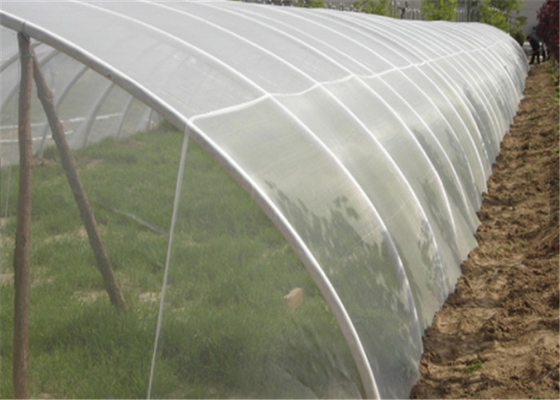 2x30m chống tia cực tím chống côn trùng màn hình ruồi lưới trồng rau màu trắng lưới