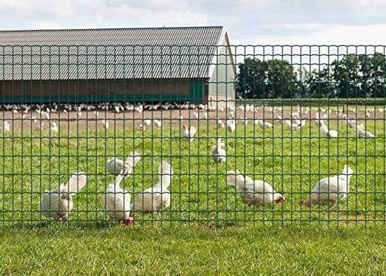 Lưới thép gia cường hàn 6 mm cho tấm bê tông