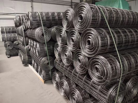 Thép gia cố lỗ Băng lưới Màu đen