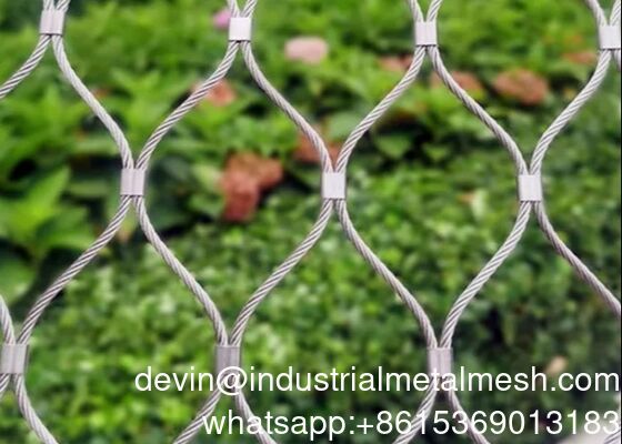 Mạng x-Tend cao kéo của tổ chim Mạng vườn thú vẹt