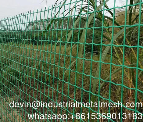 Holland Wire Mesh Euro Wire Welded Mesh Black Wire Welded PVC phủ